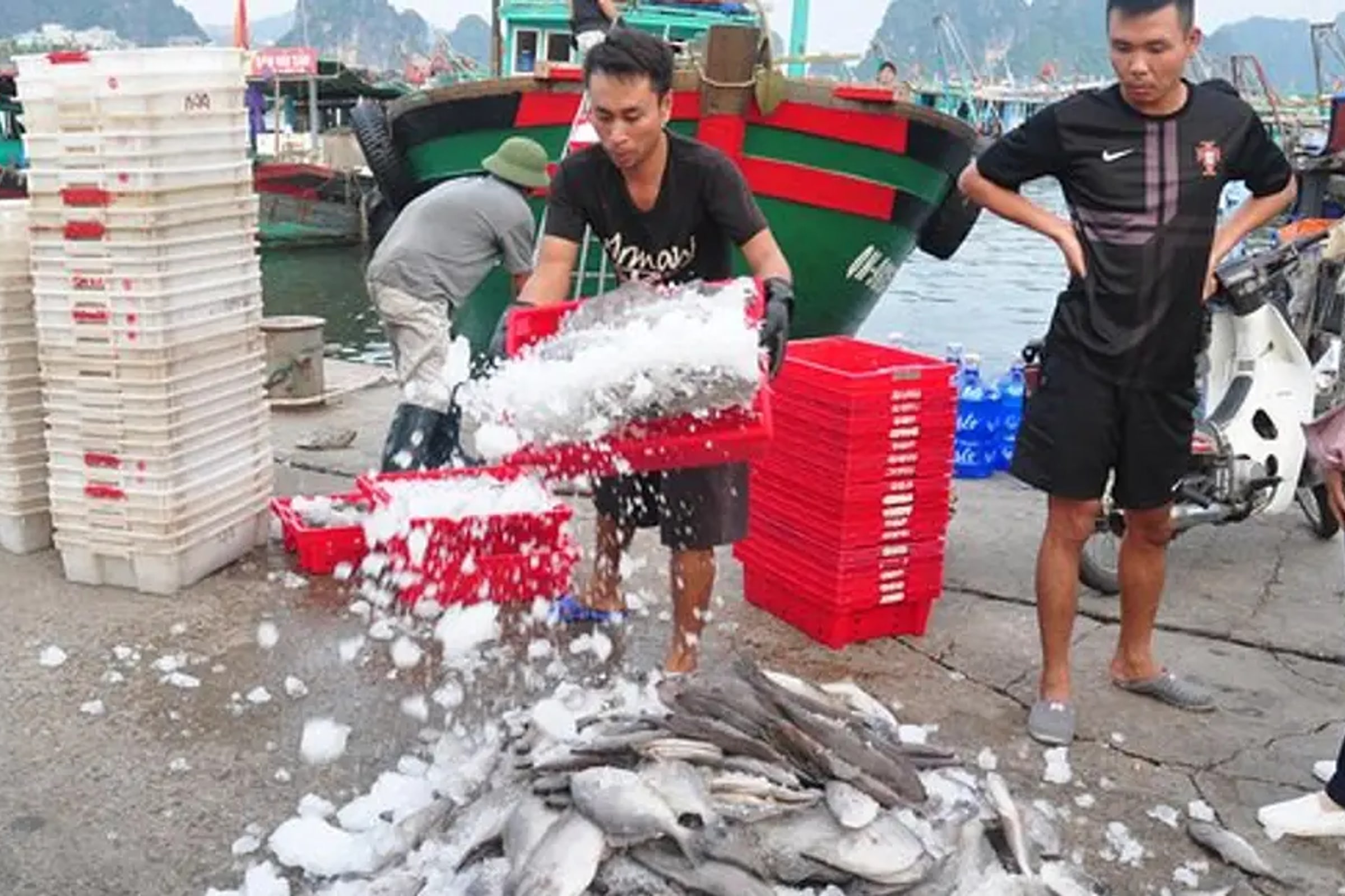 Halong City of Wonder Half Day City Tour